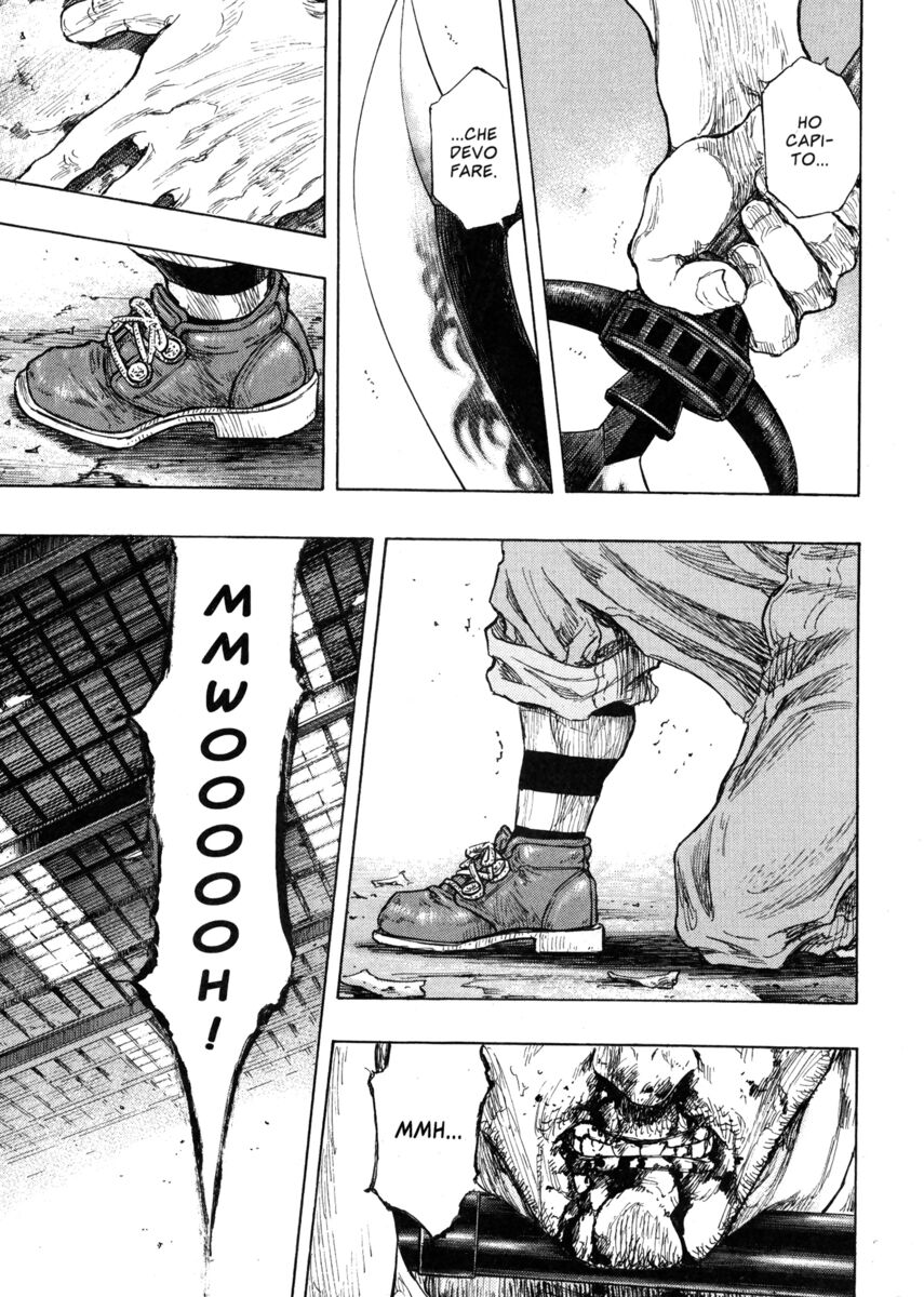 Read Shamo Manga Online