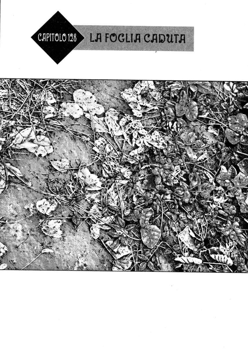 Read Shamo Manga Online