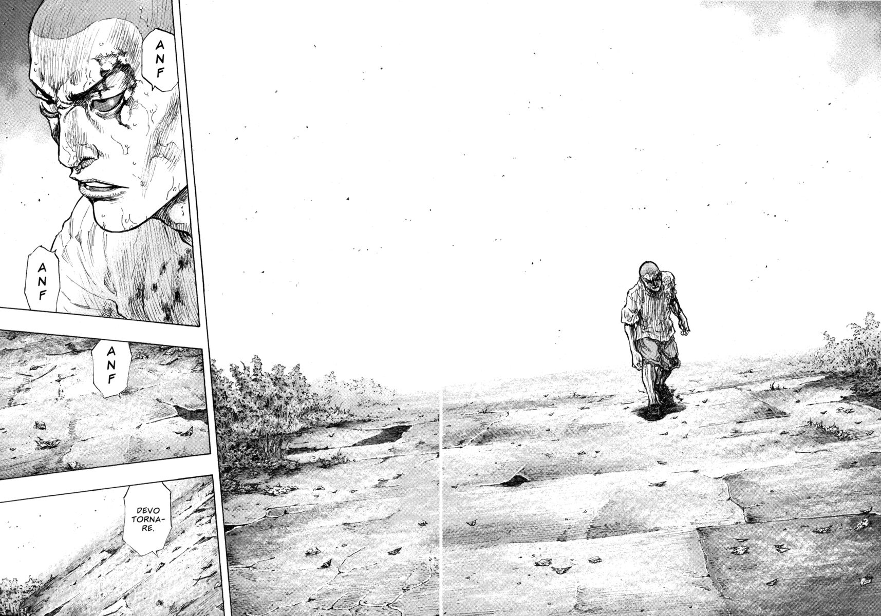 Read Shamo Manga Online