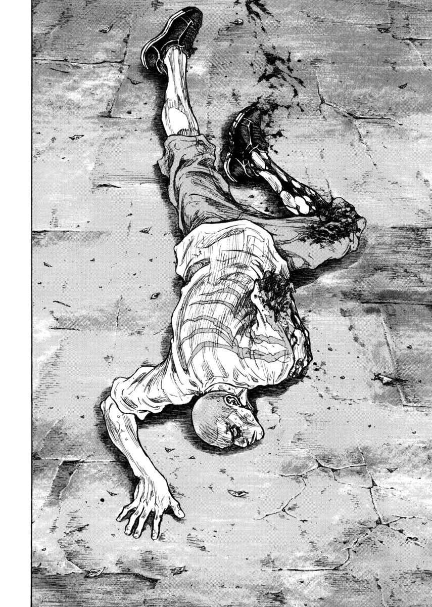 Read Shamo Manga Online