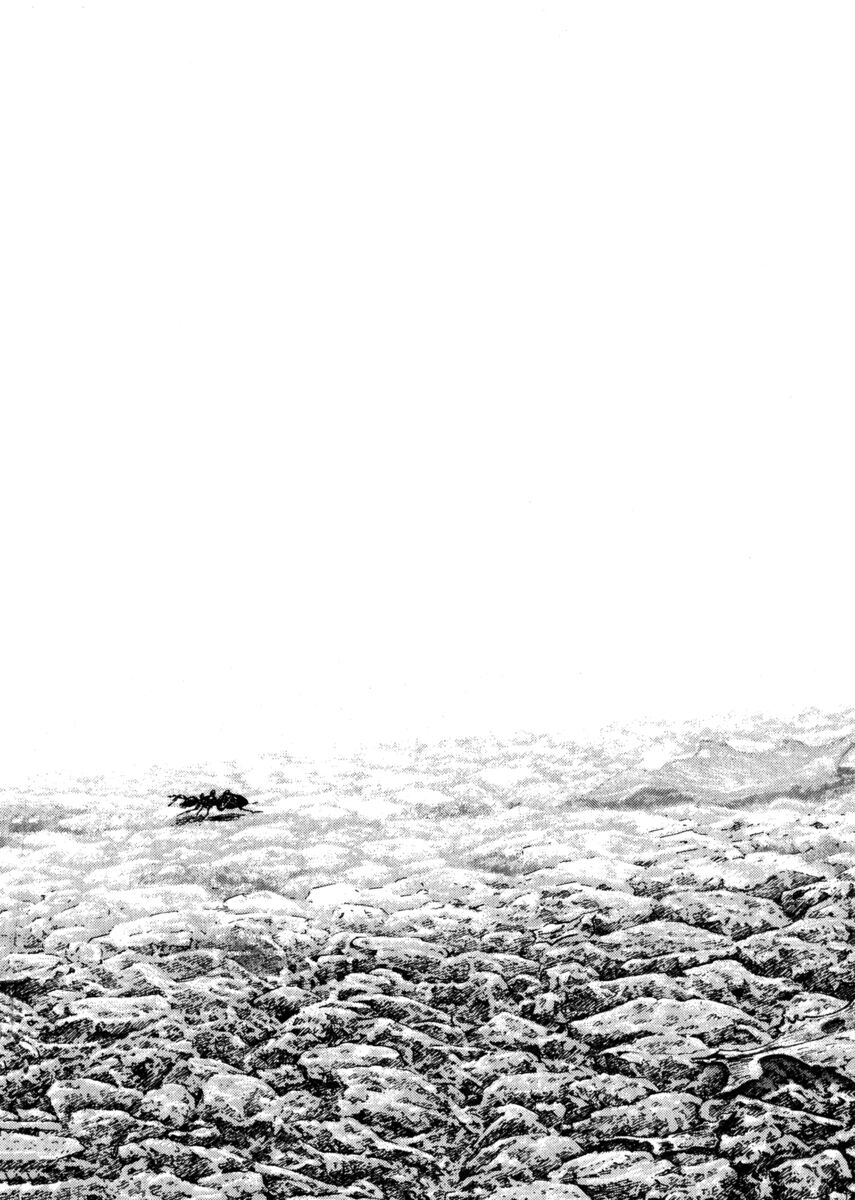 Read Shamo Manga Online