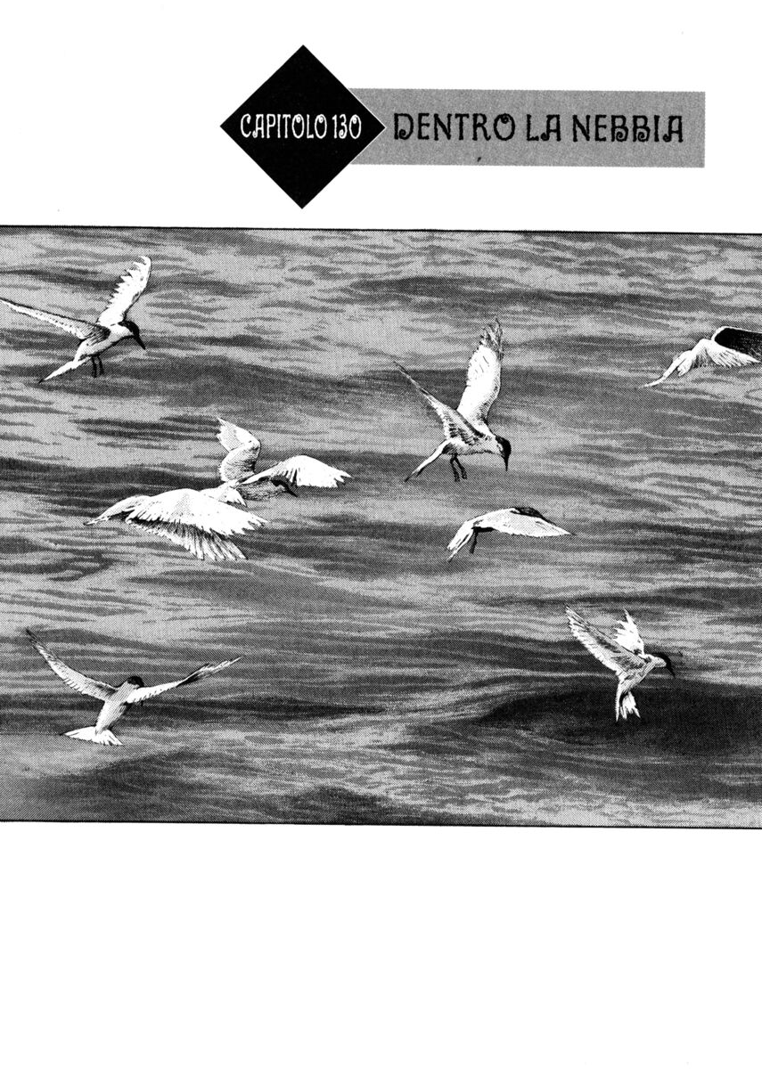 Read Shamo Manga Online