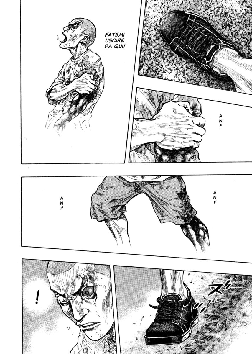 Read Shamo Manga Online