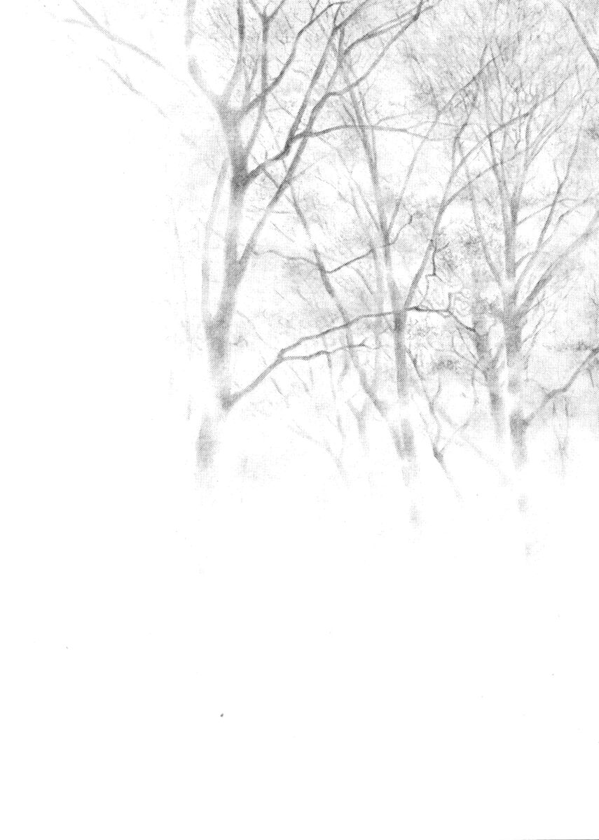 Read Shamo Manga Online