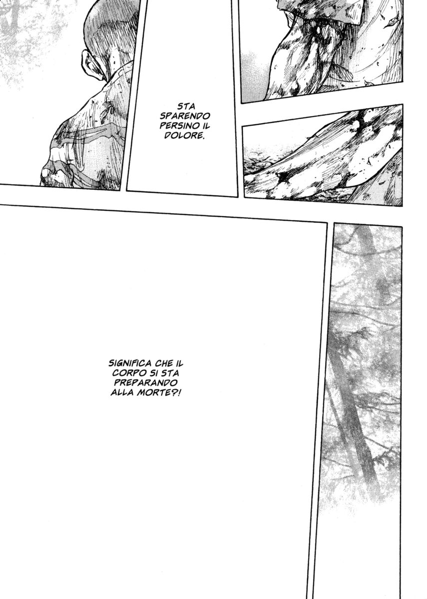 Read Shamo Manga Online