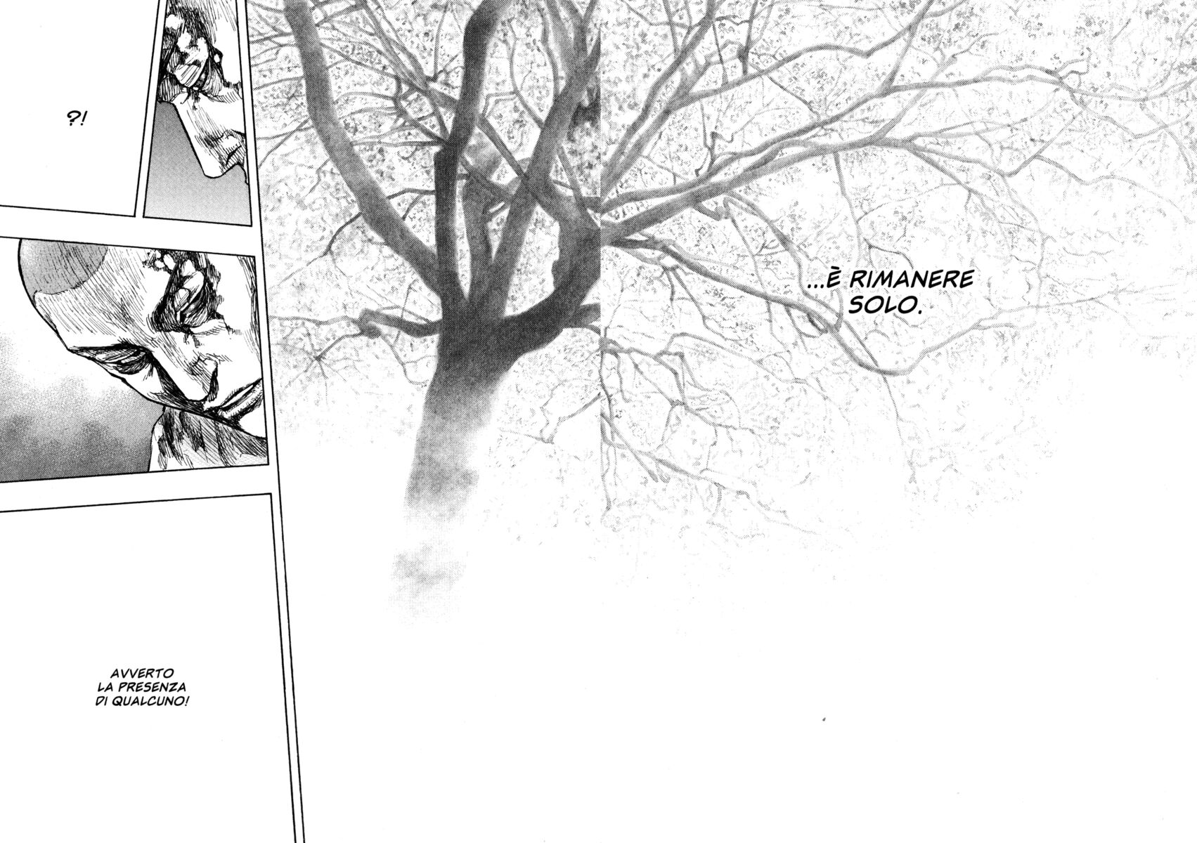 Read Shamo Manga Online