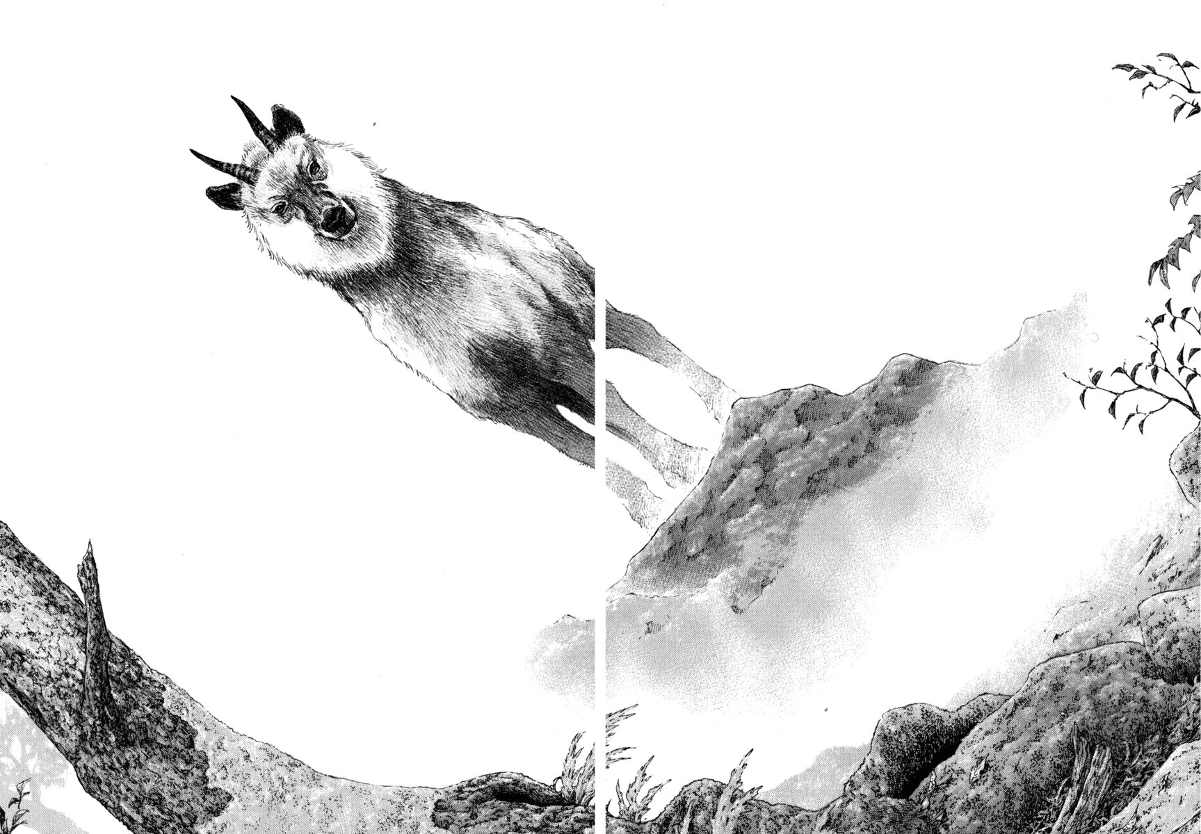 Read Shamo Manga Online