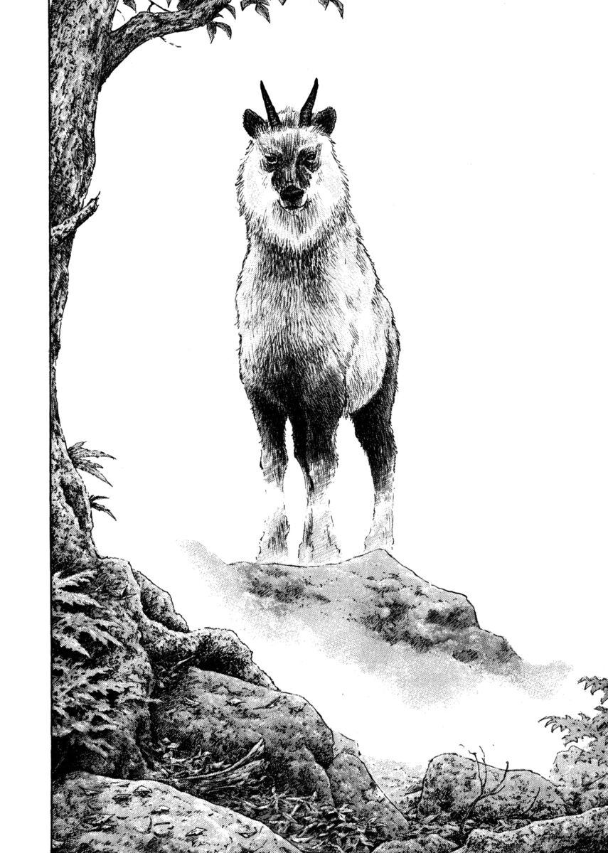 Read Shamo Manga Online