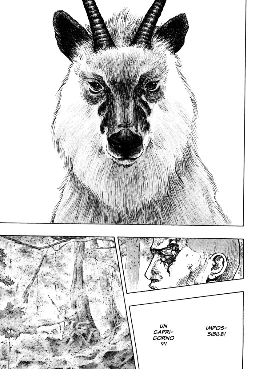 Read Shamo Manga Online