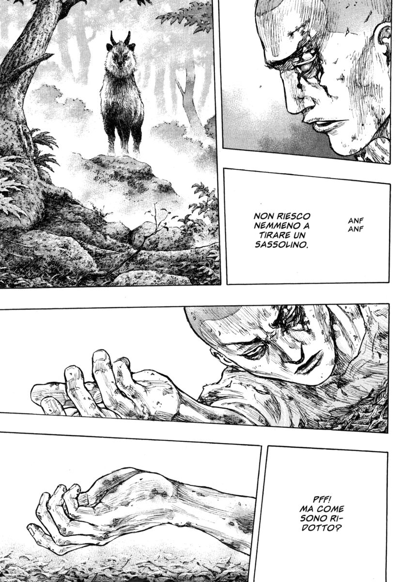 Read Shamo Manga Online