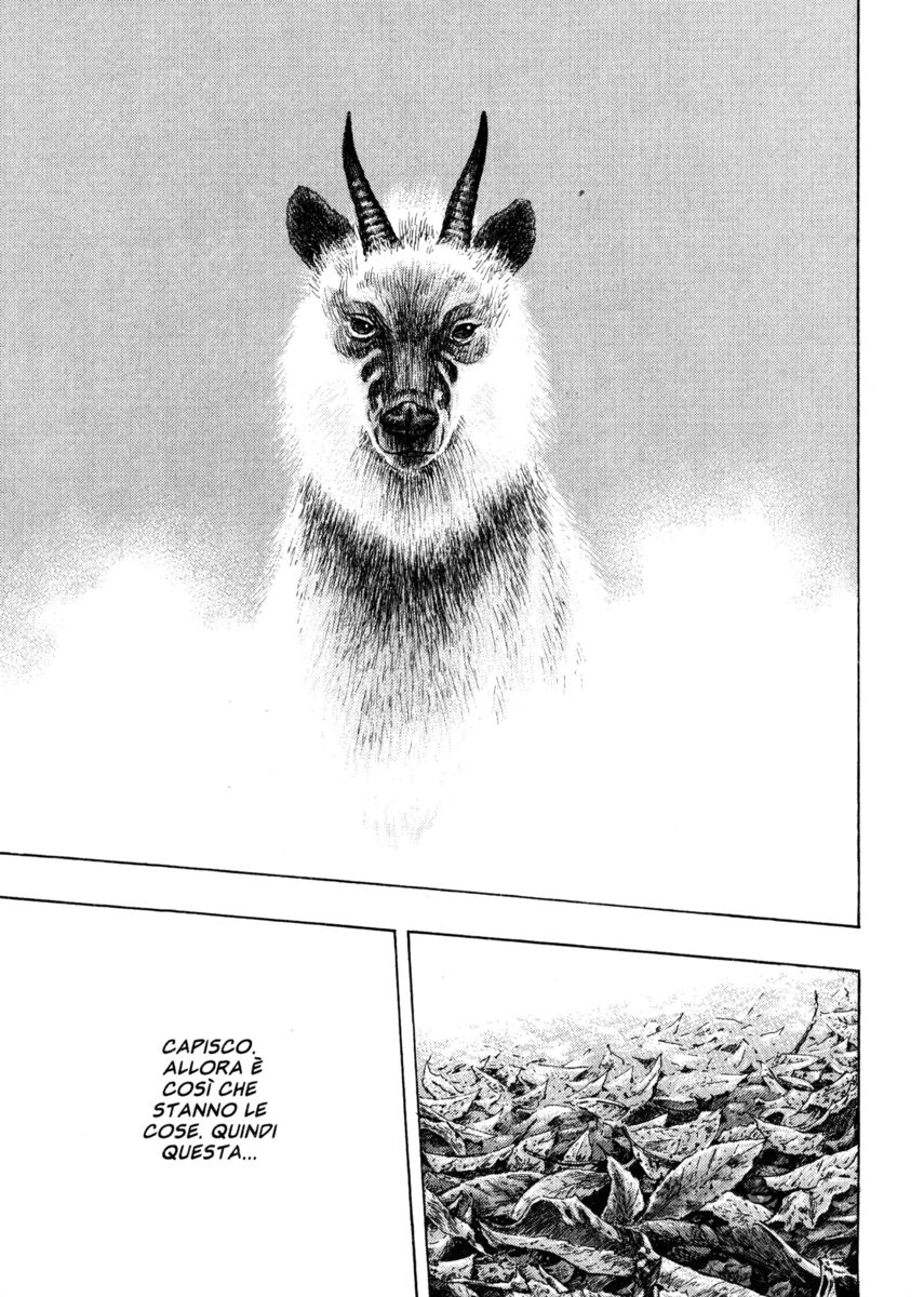 Read Shamo Manga Online