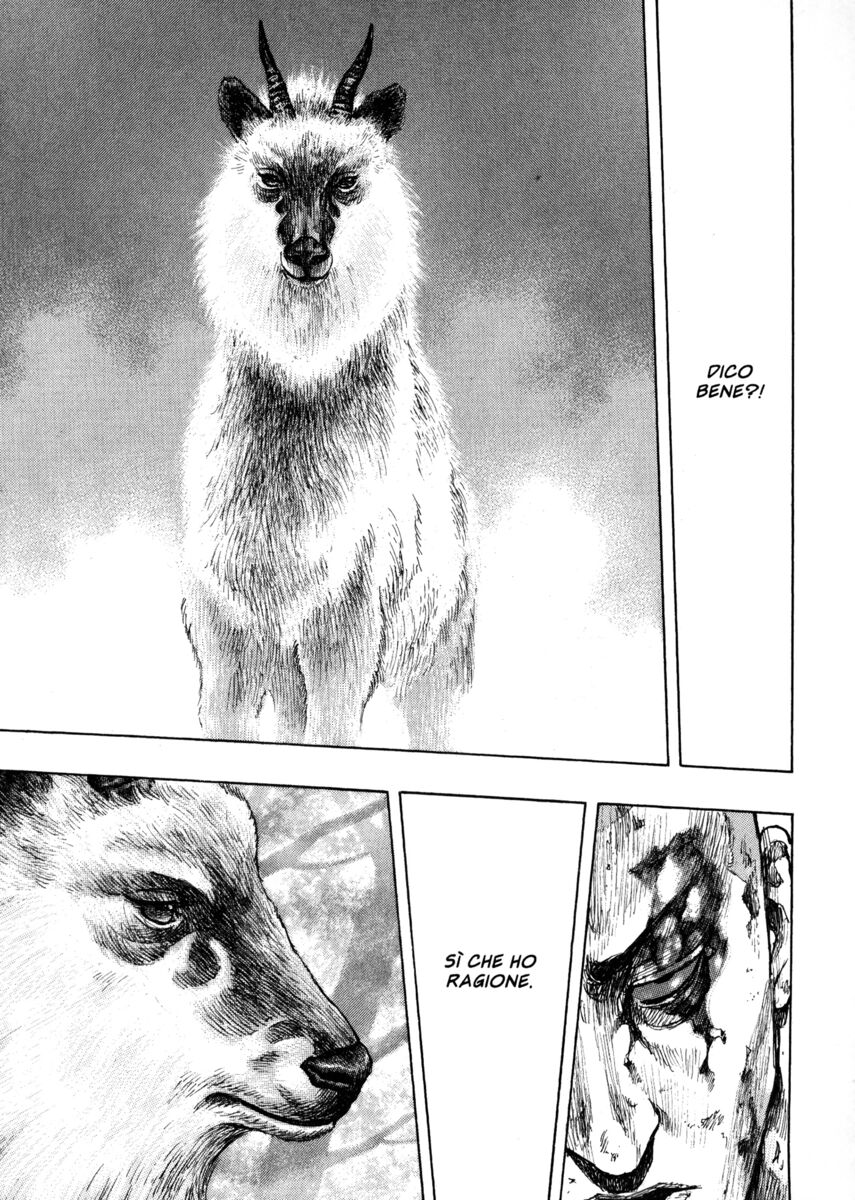 Read Shamo Manga Online