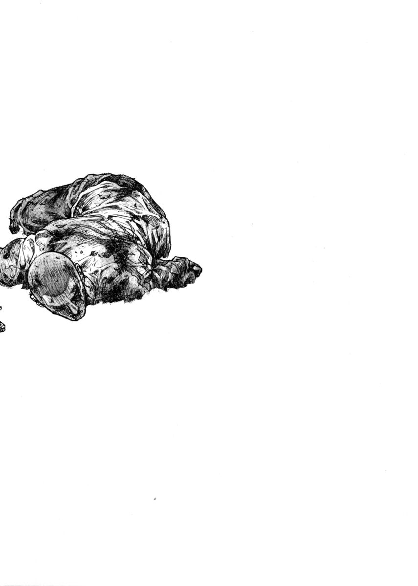 Read Shamo Manga Online