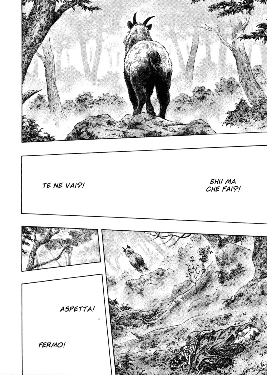Read Shamo Manga Online