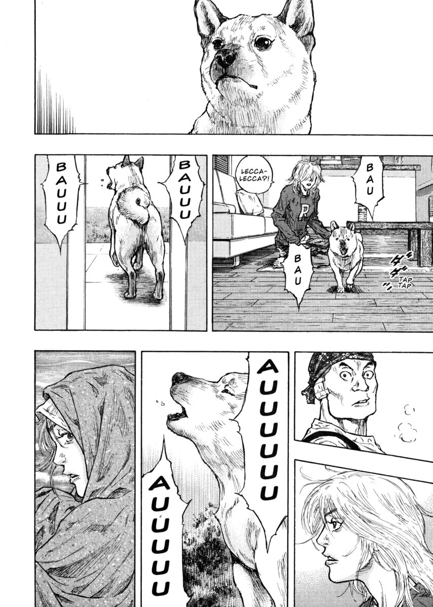 Read Shamo Manga Online