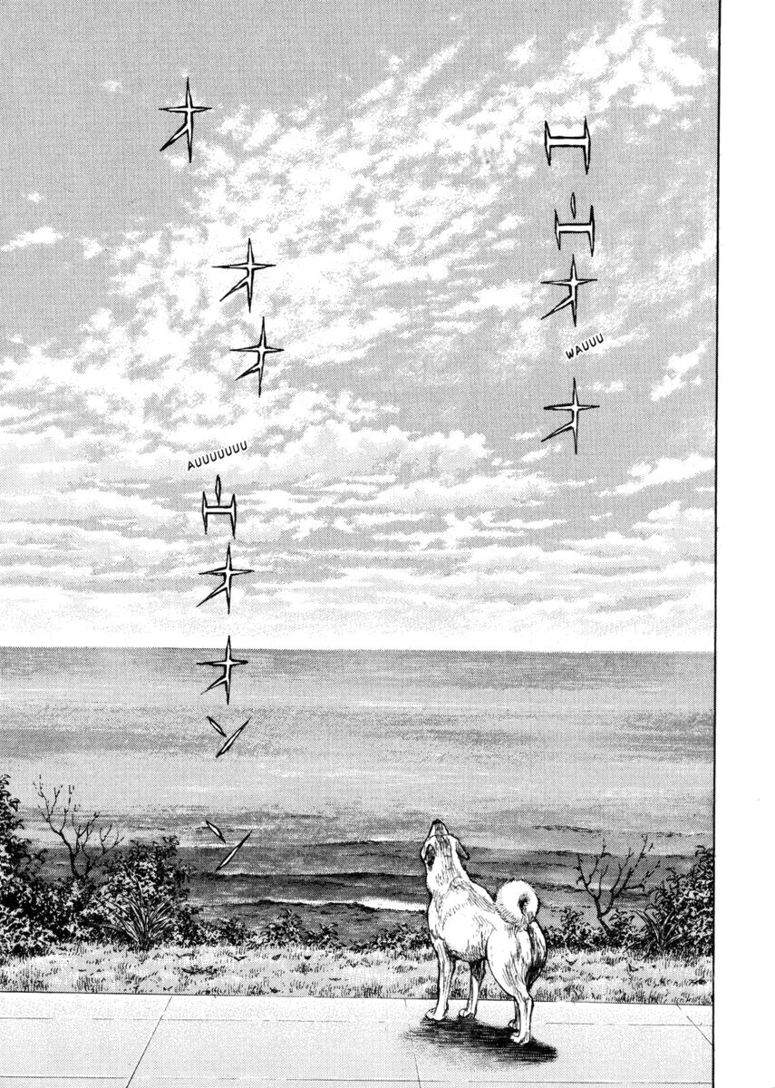 Read Shamo Manga Online