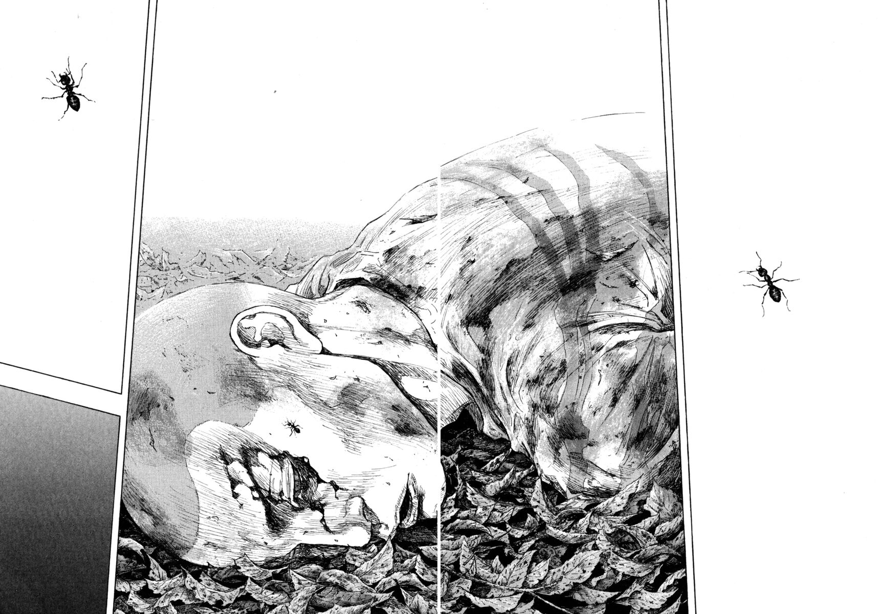 Read Shamo Manga Online