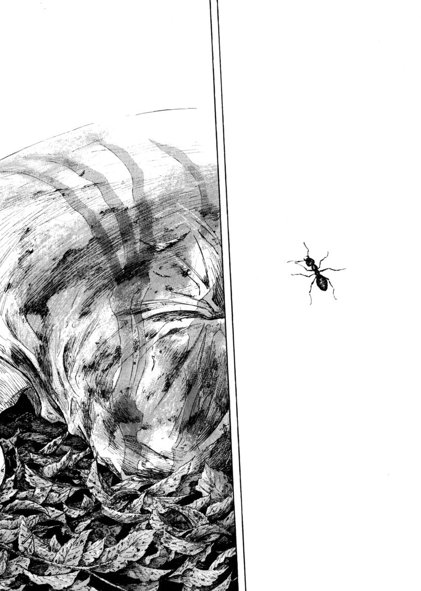 Read Shamo Manga Online