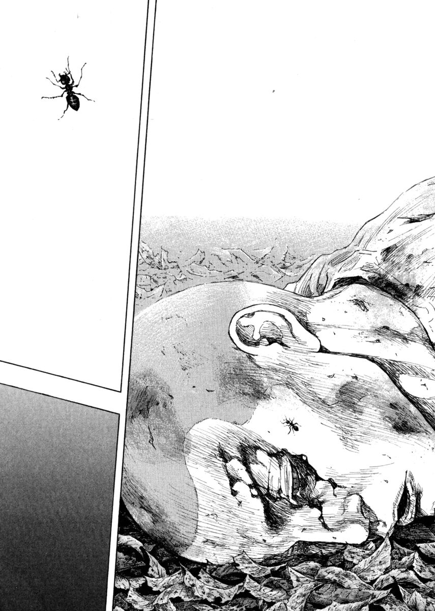 Read Shamo Manga Online