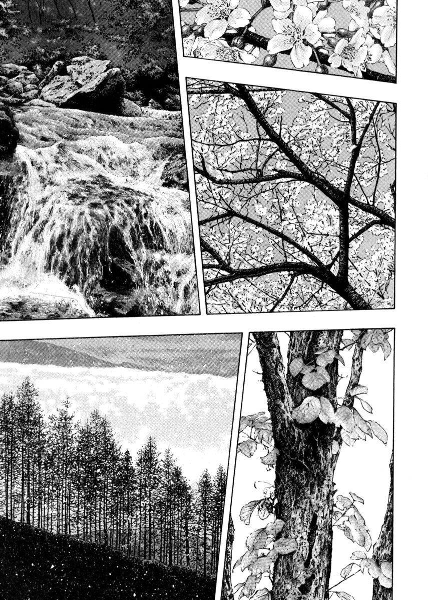 Read Shamo Manga Online