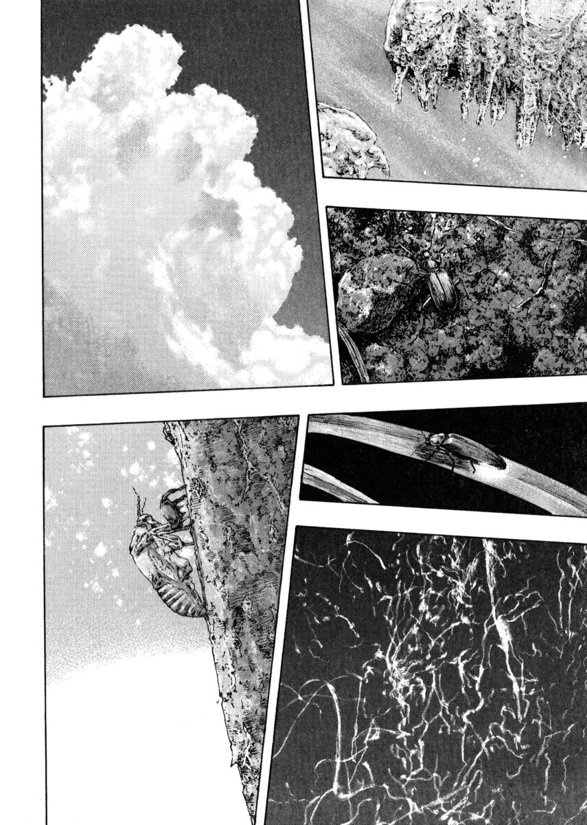 Read Shamo Manga Online