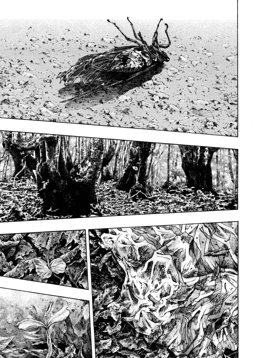 Read Shamo Manga Online