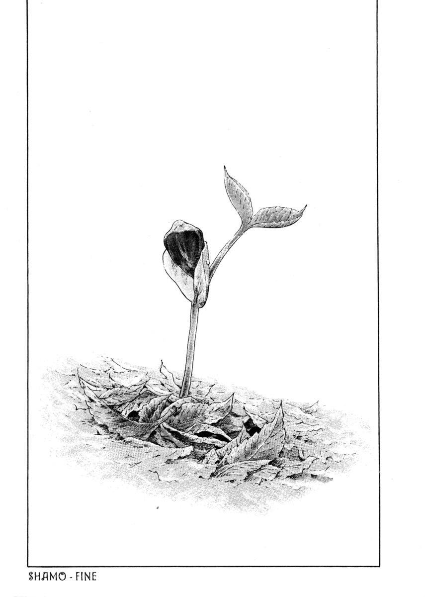 Read Shamo Manga Online