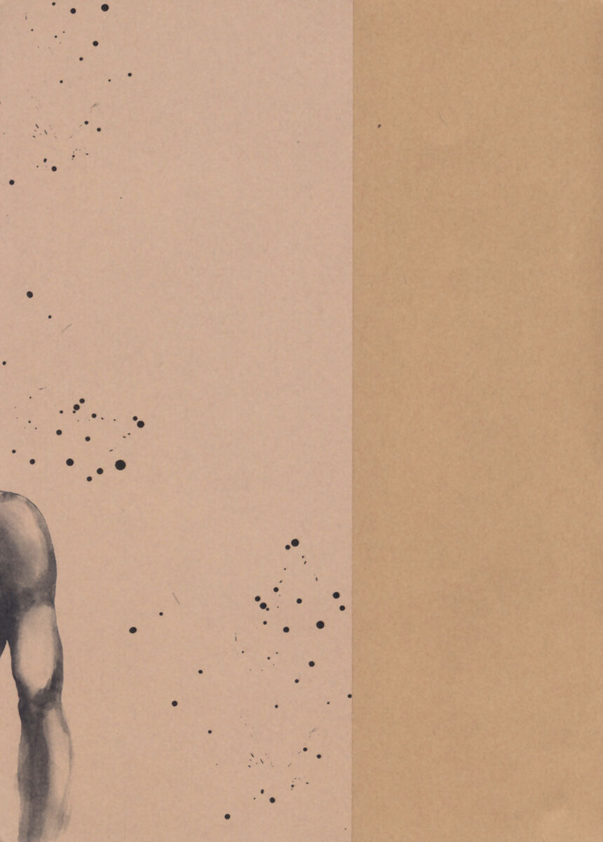 Read Shamo Manga Online