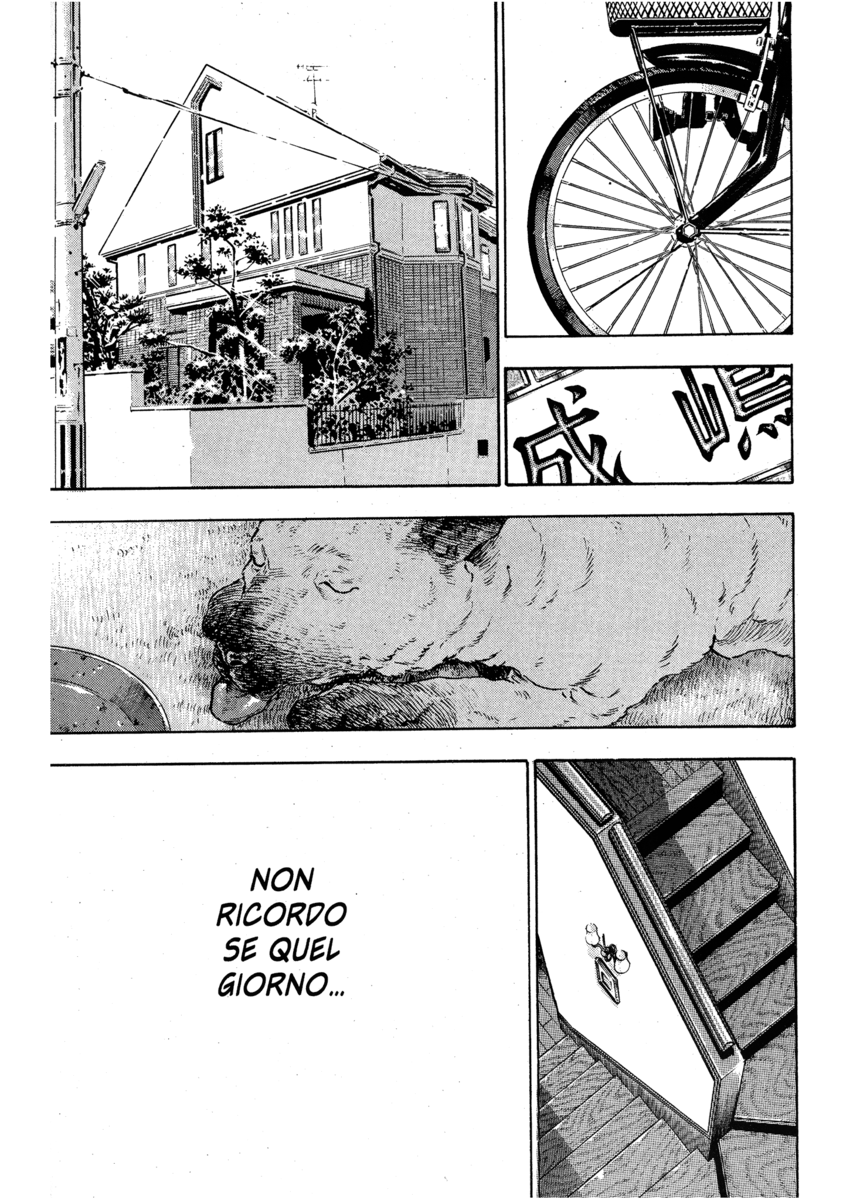 Read Shamo Manga Online