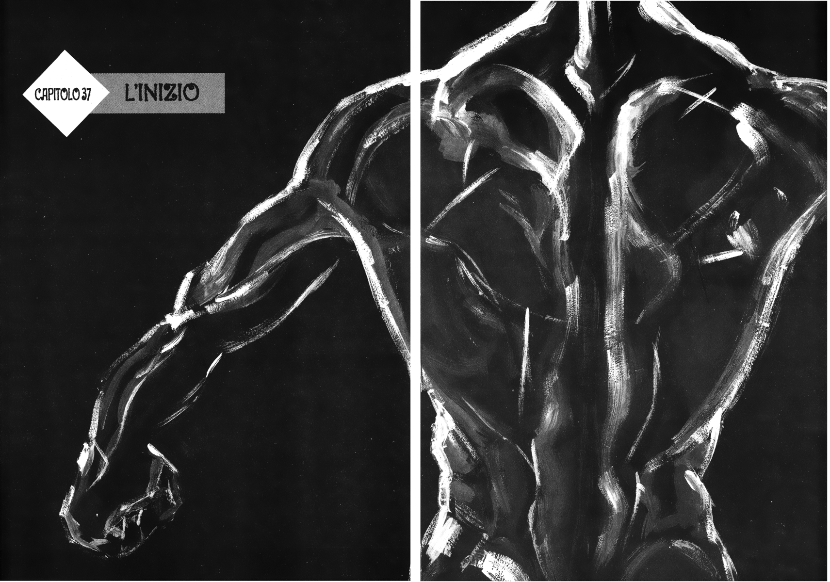 Read Shamo Manga Online