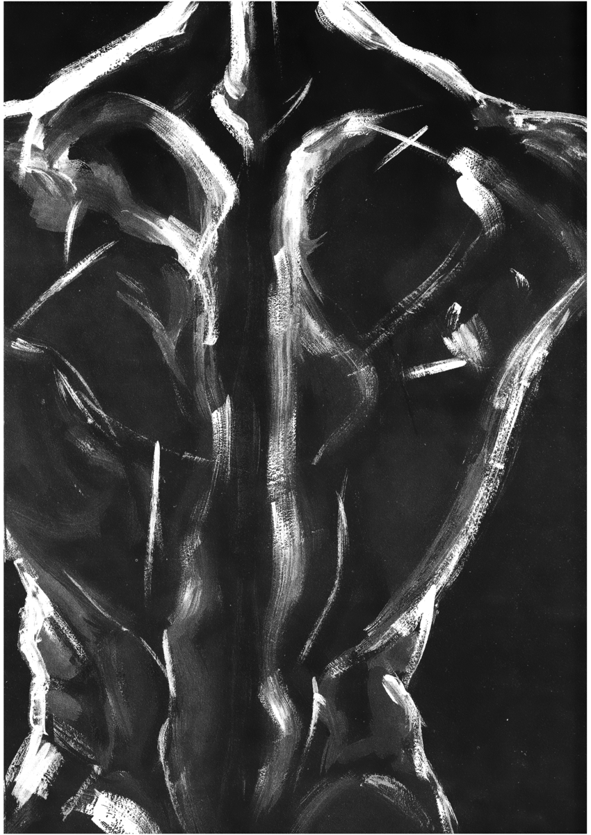 Read Shamo Manga Online