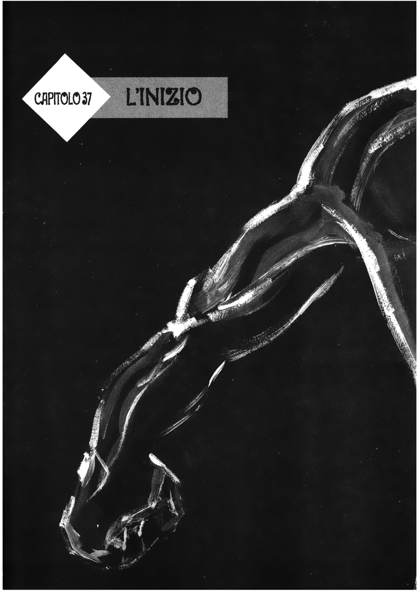 Read Shamo Manga Online