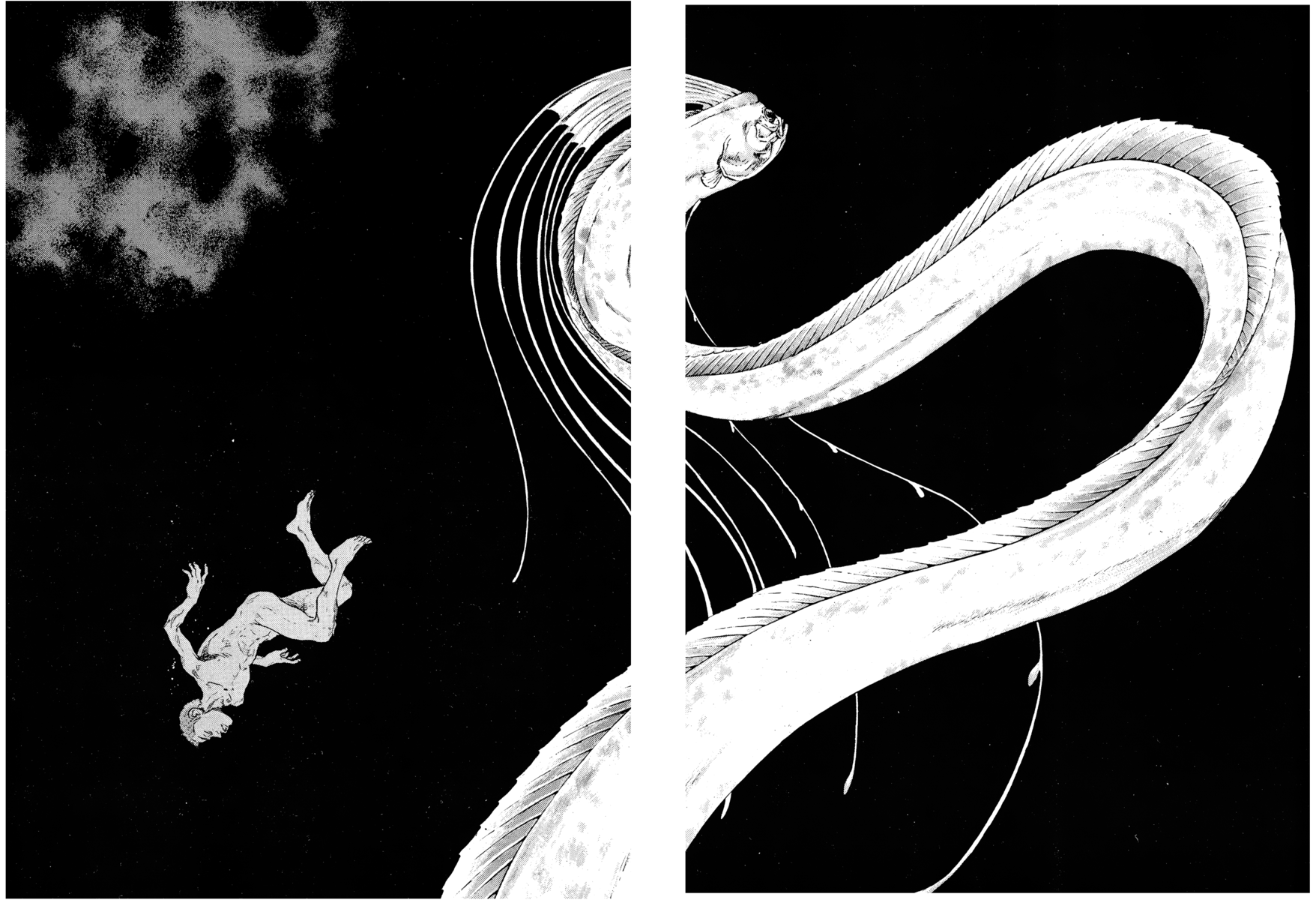 Read Shamo Manga Online