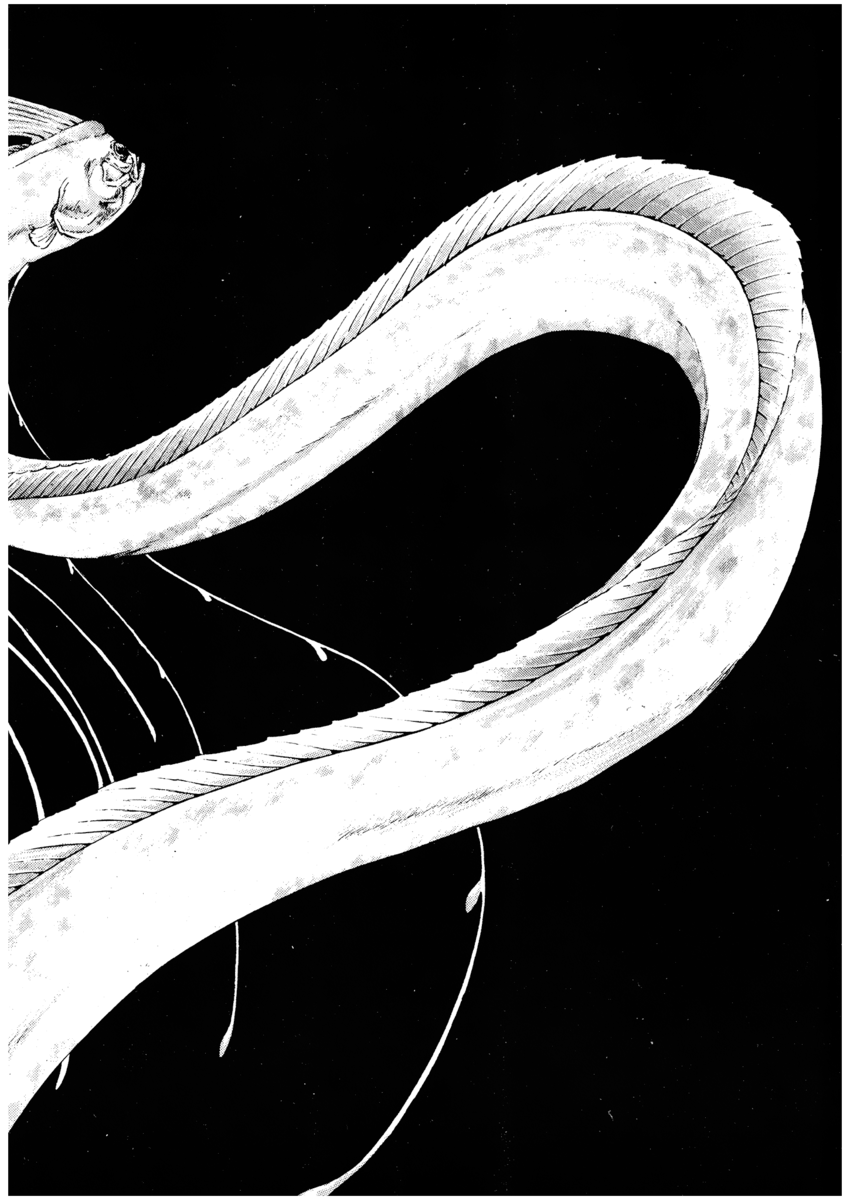 Read Shamo Manga Online