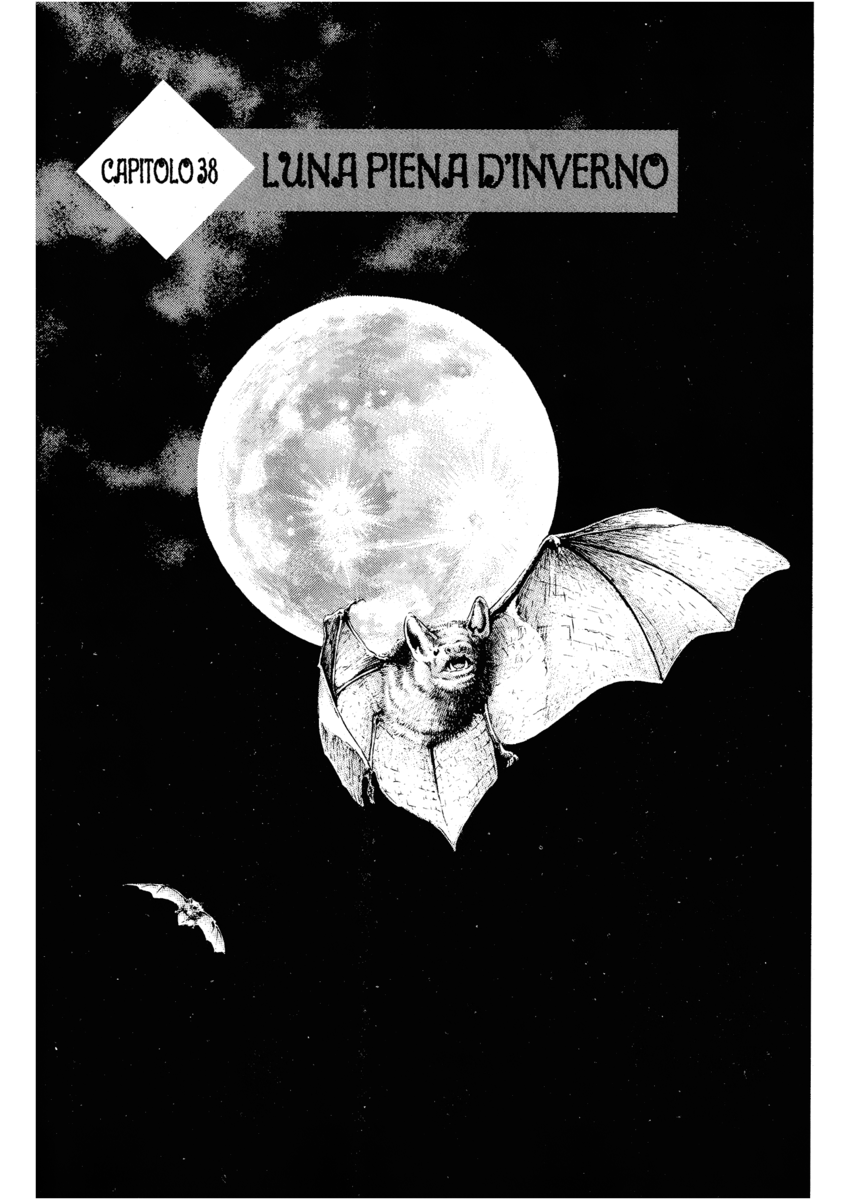 Read Shamo Manga Online