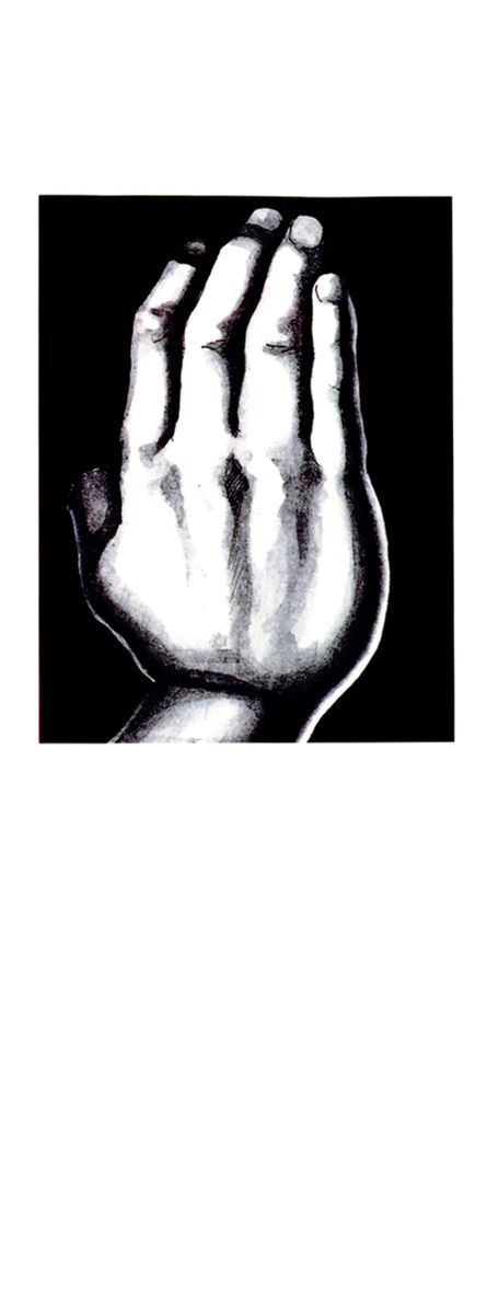 Read Shamo Manga Online