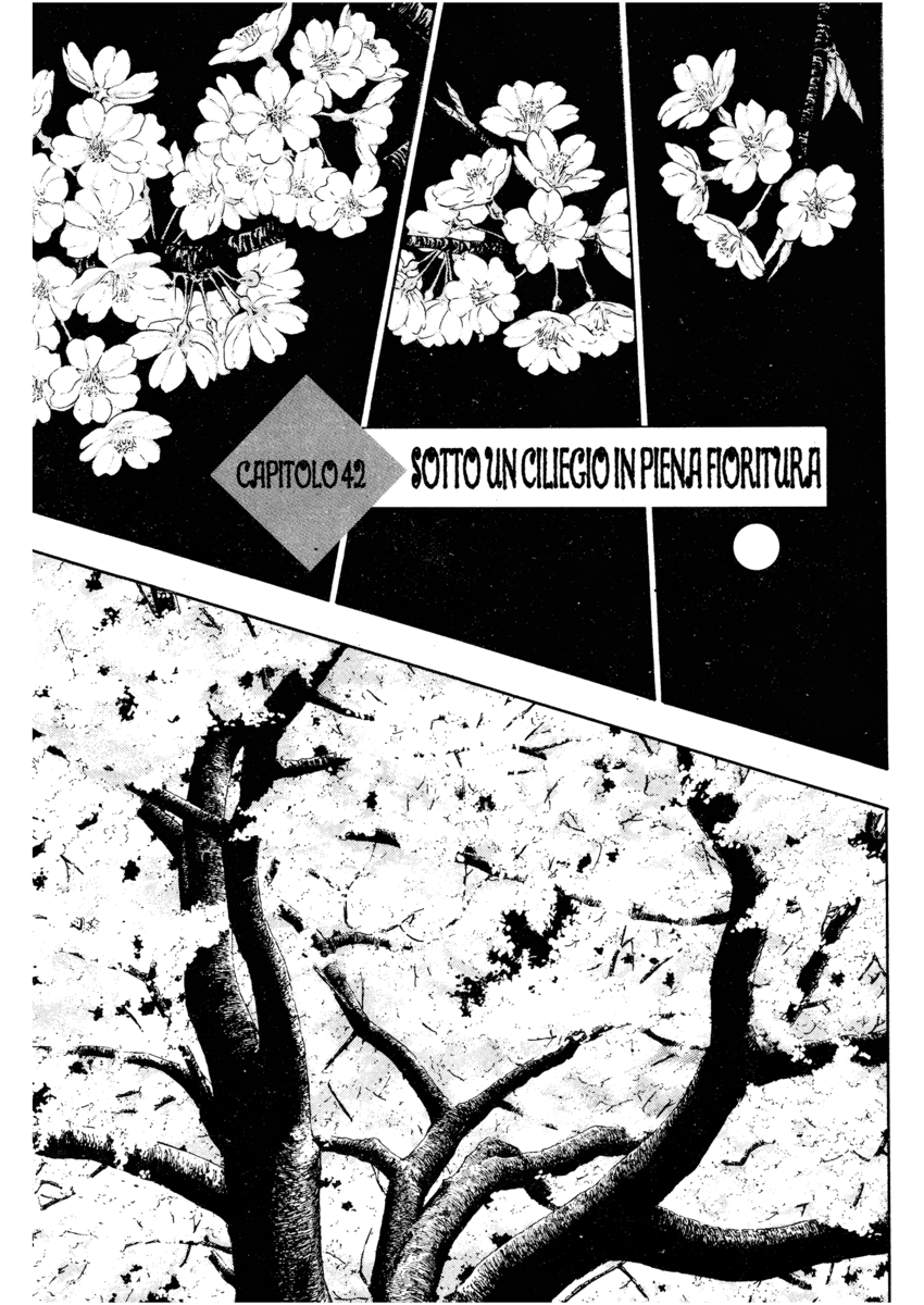 Read Shamo Manga Online