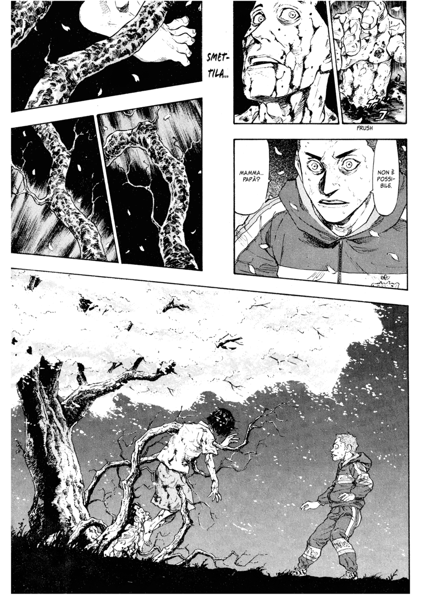 Read Shamo Manga Online