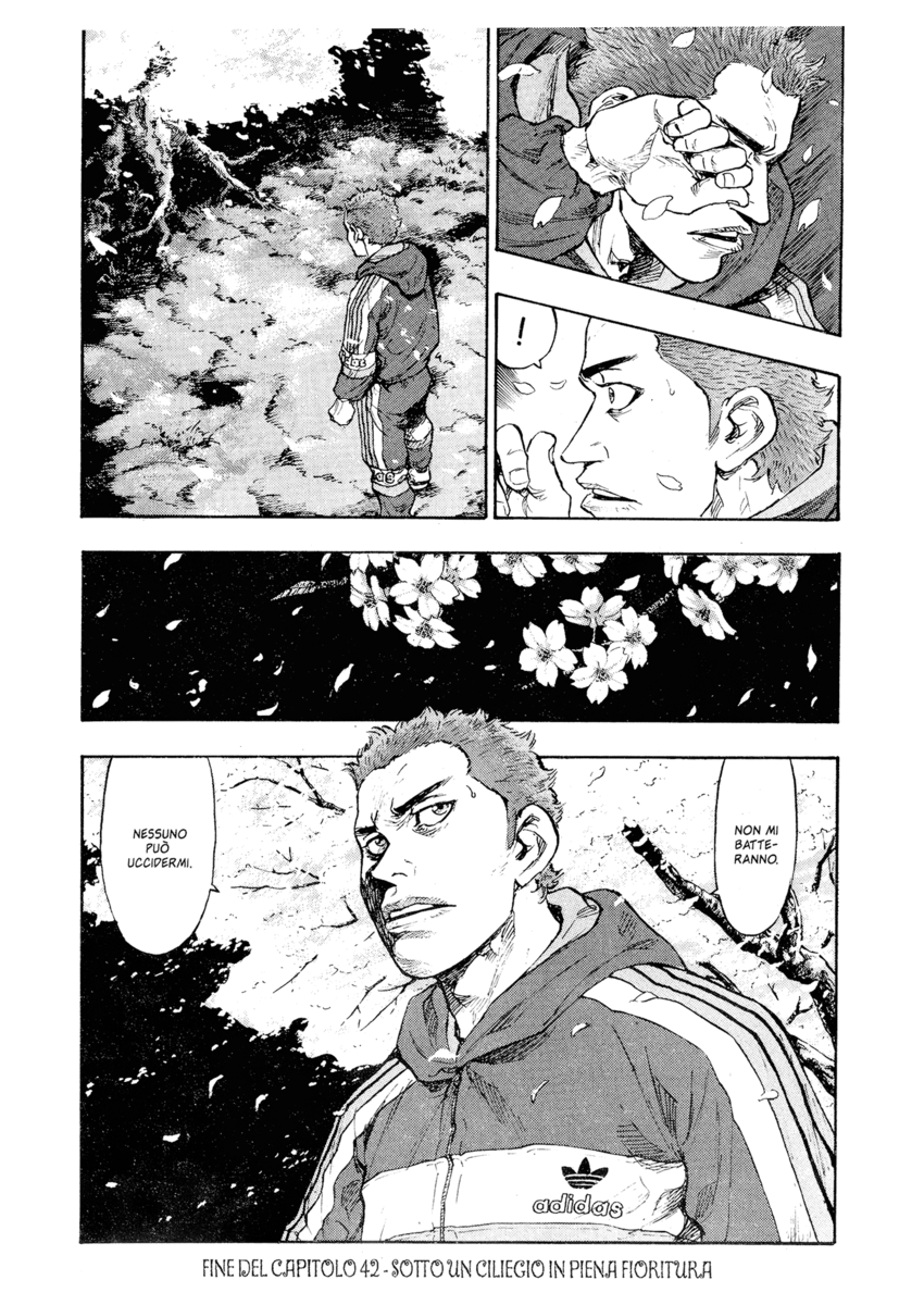 Read Shamo Manga Online