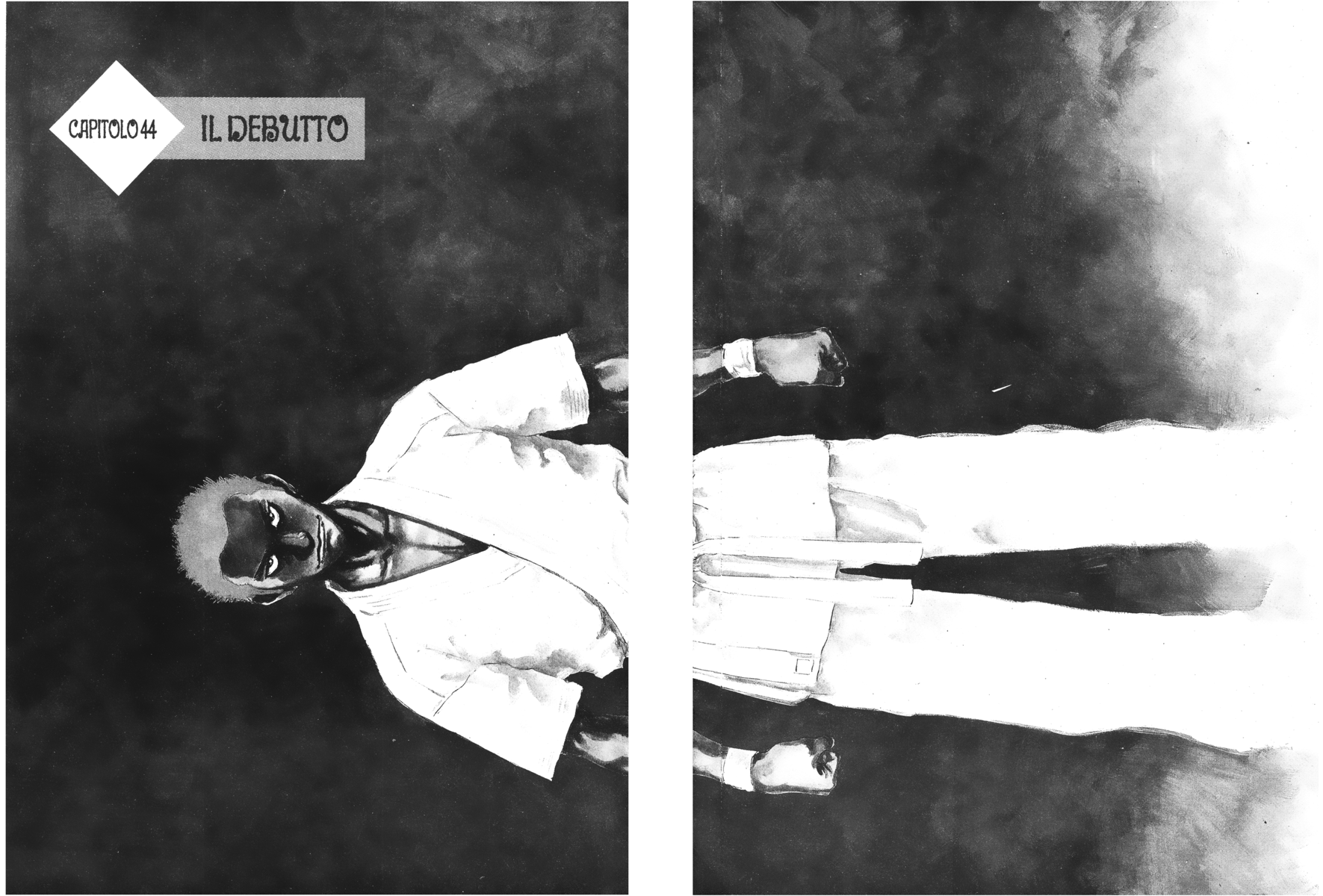 Read Shamo Manga Online