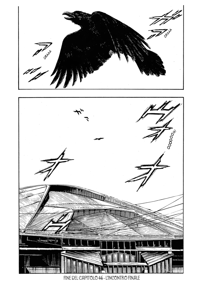 Read Shamo Manga Online