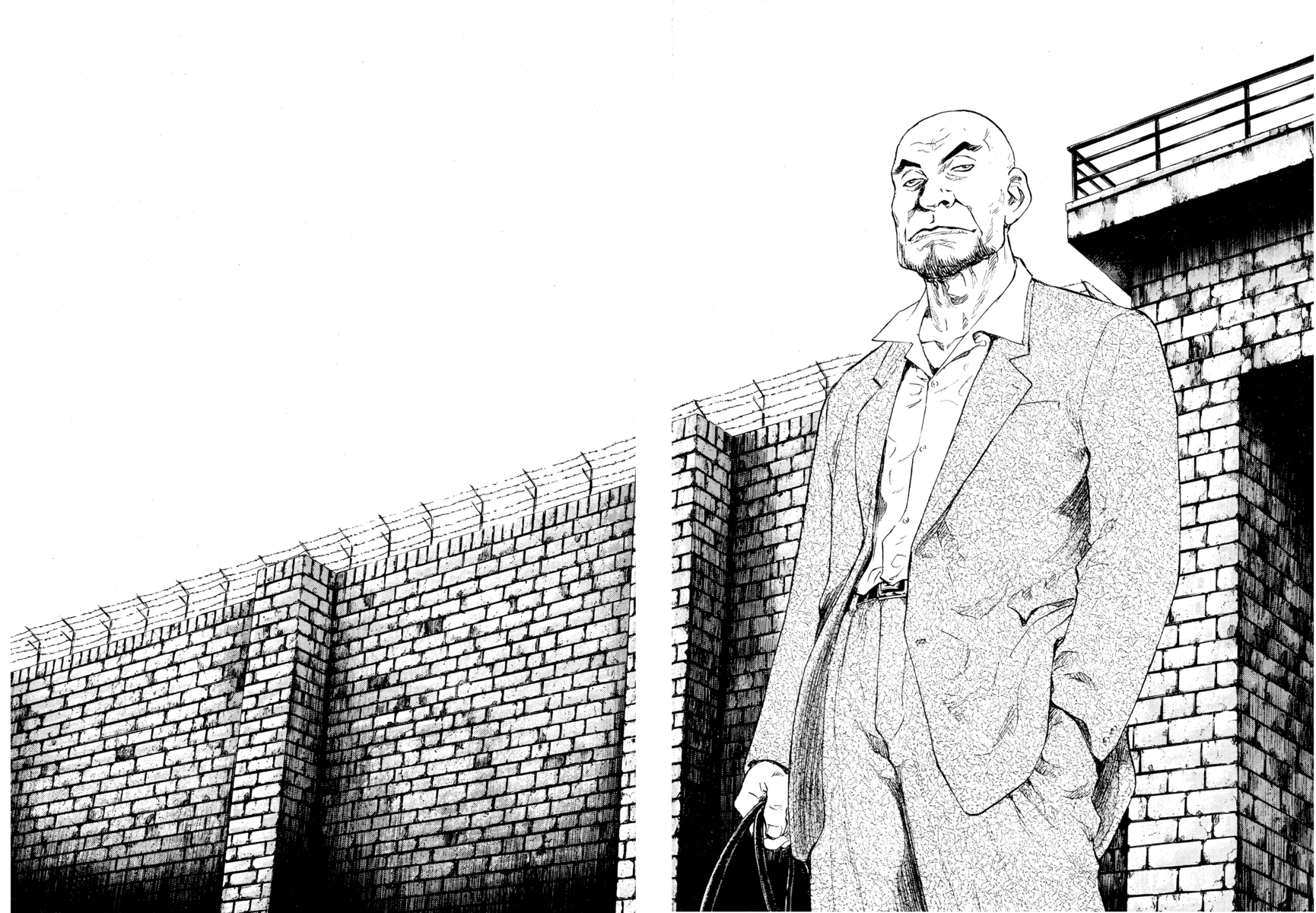 Read Shamo Manga Online
