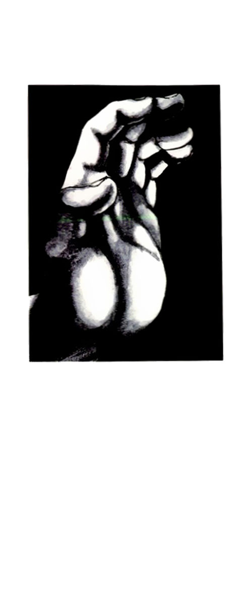 Read Shamo Manga Online