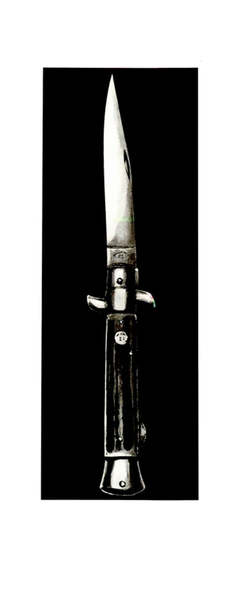 Read Shamo Manga Online