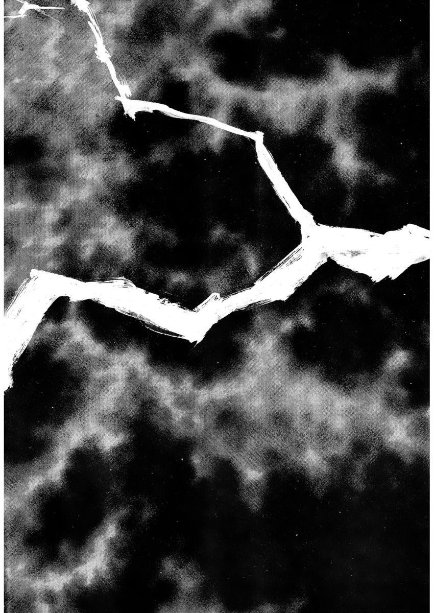 Read Shamo Manga Online