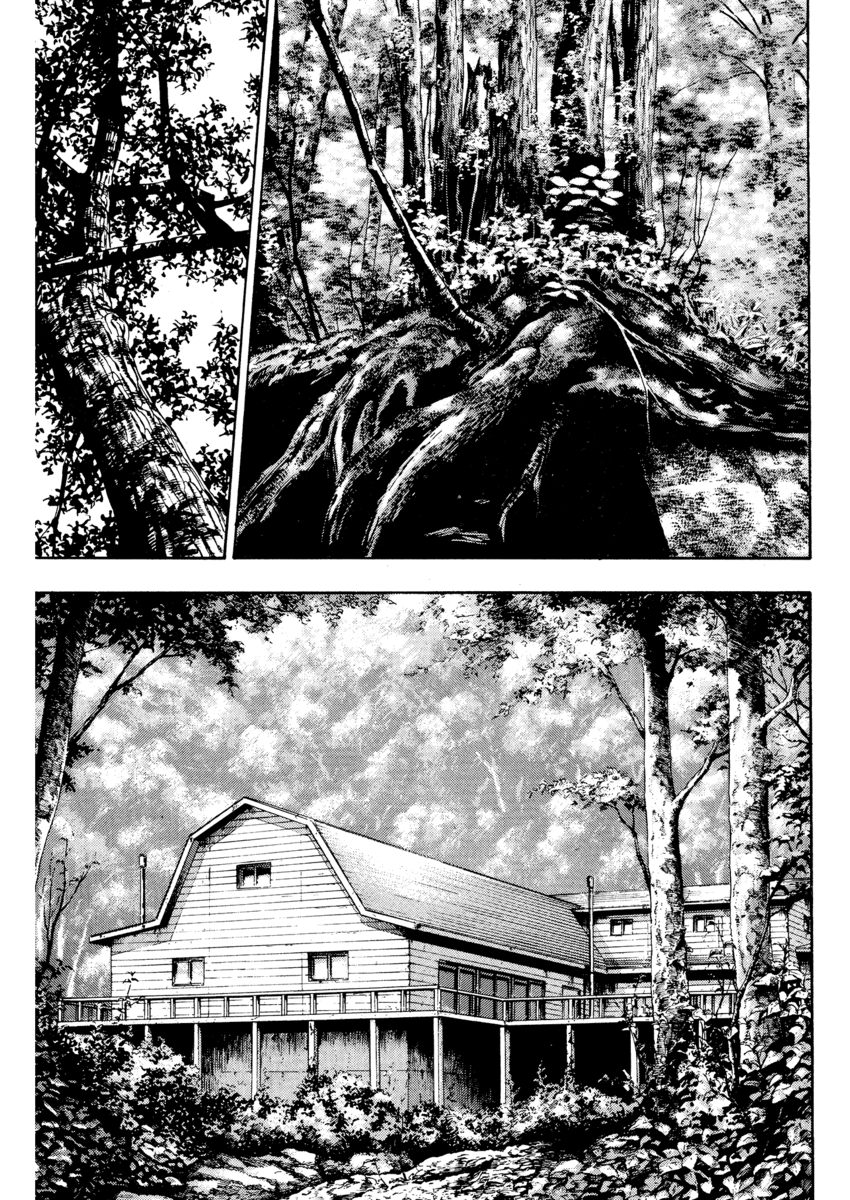 Read Shamo Manga Online