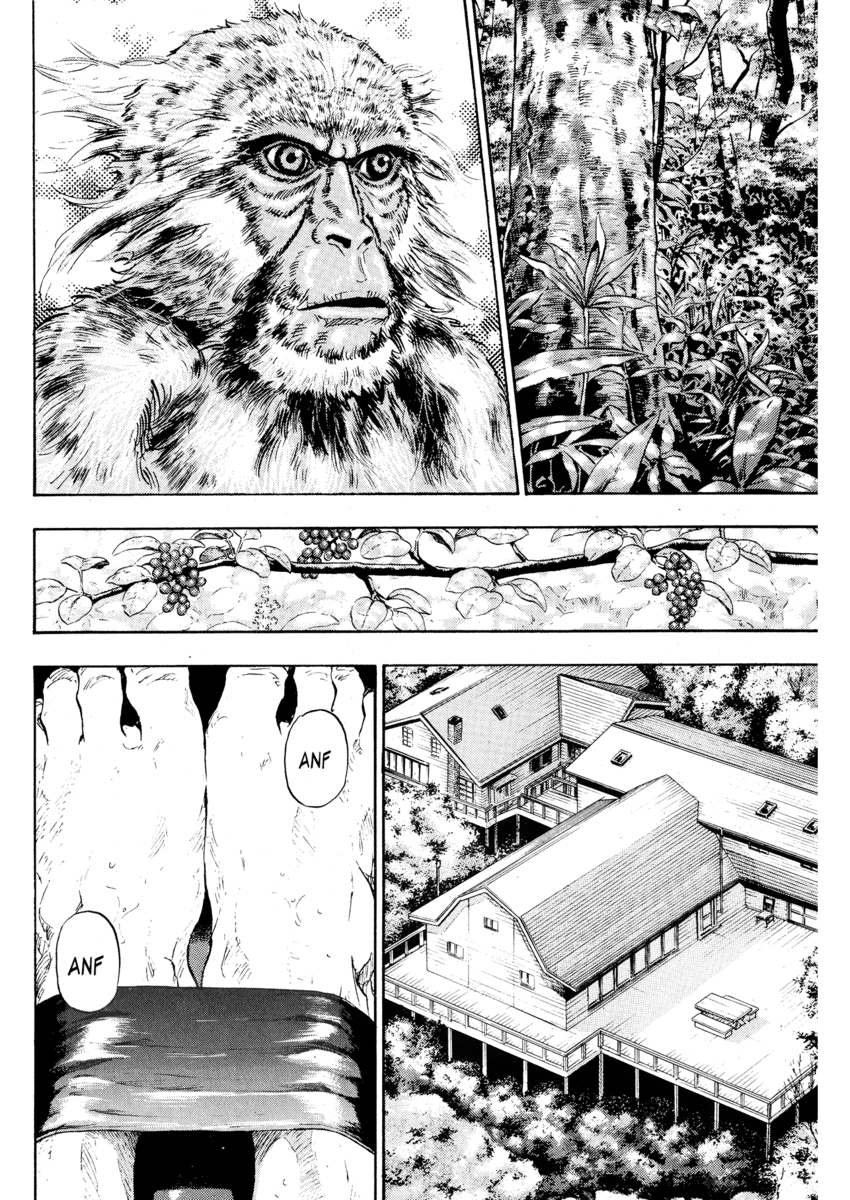 Read Shamo Manga Online