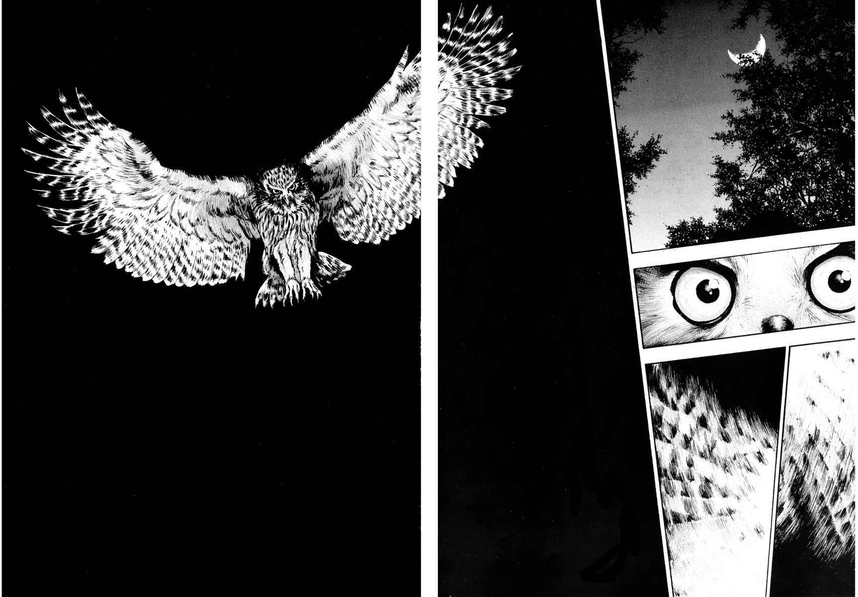 Read Shamo Manga Online