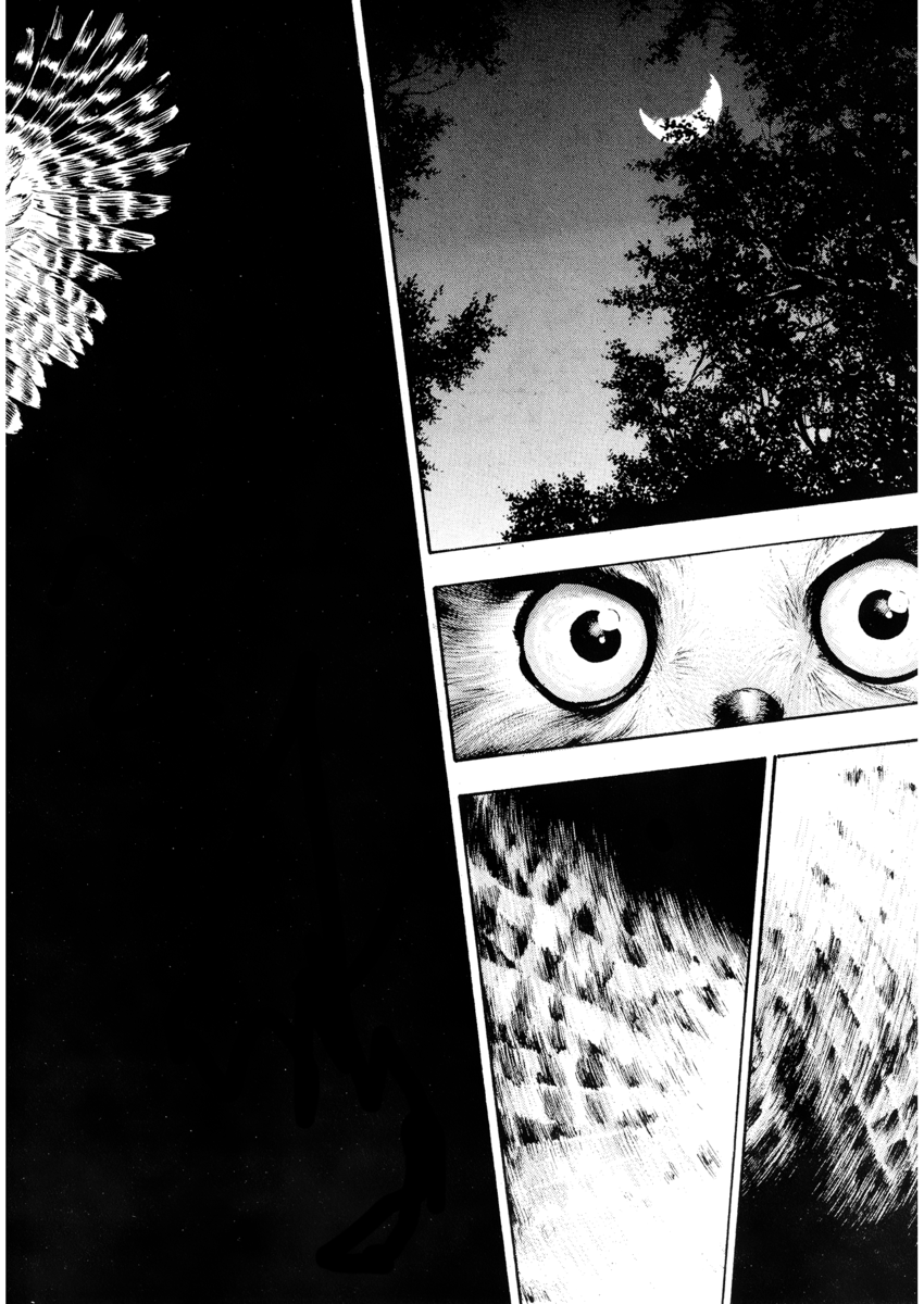 Read Shamo Manga Online