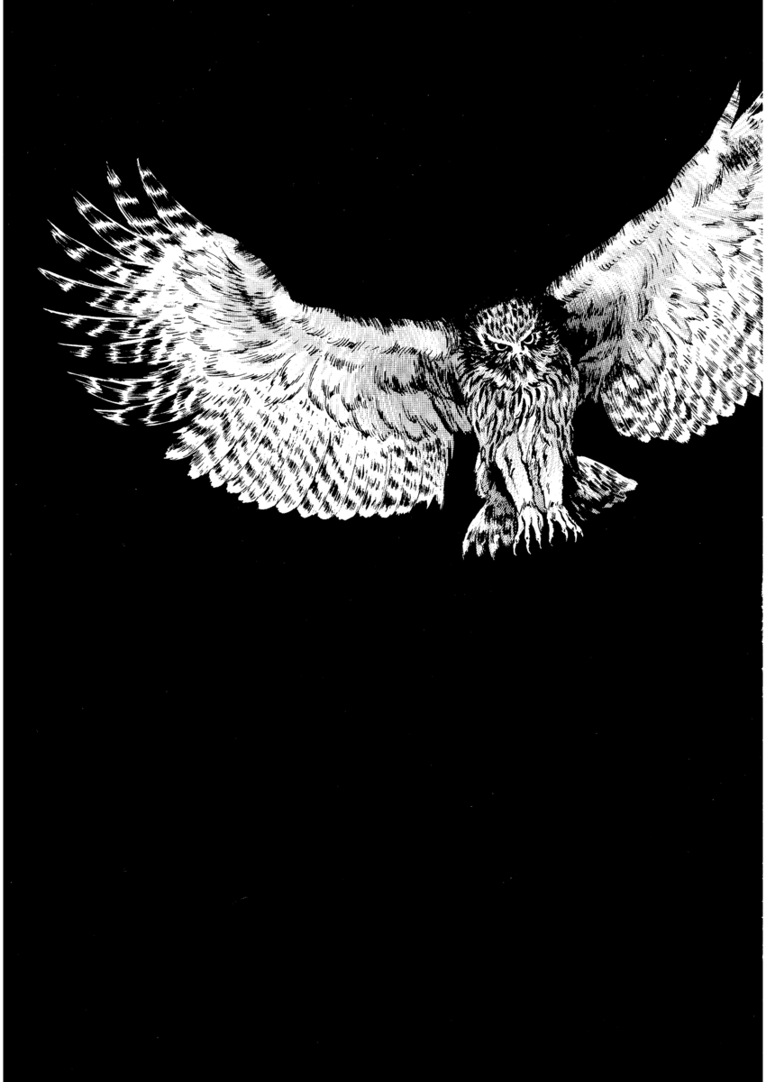 Read Shamo Manga Online